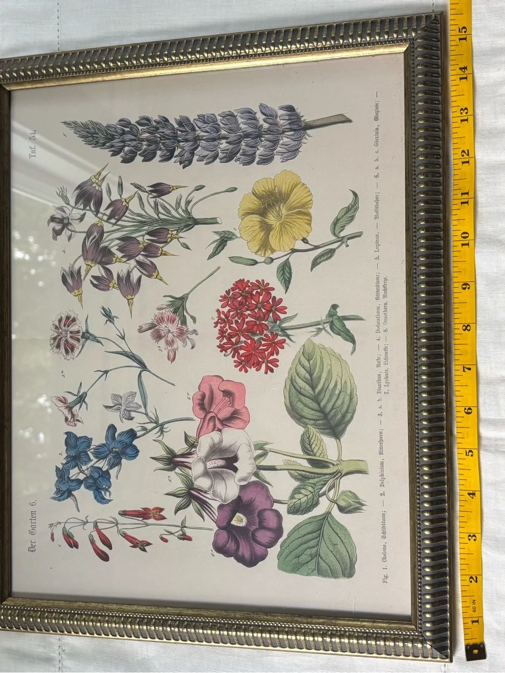 Floral Botanical Print Wall Art in Multi-Color